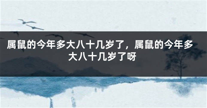 属鼠的今年多大八十几岁了，属鼠的今年多大八十几岁了呀