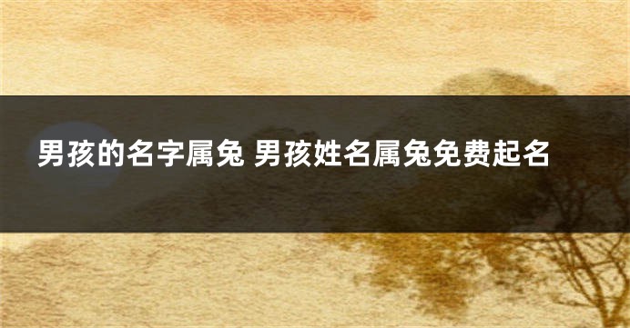 男孩的名字属兔 男孩姓名属兔免费起名