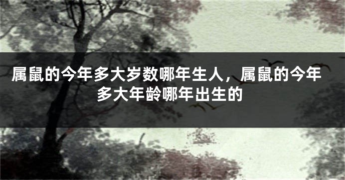 属鼠的今年多大岁数哪年生人，属鼠的今年多大年龄哪年出生的