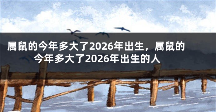 属鼠的今年多大了2026年出生，属鼠的今年多大了2026年出生的人