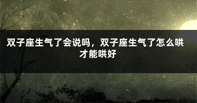 双子座生气了会说吗，双子座生气了怎么哄才能哄好