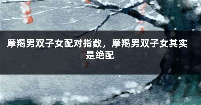 摩羯男双子女配对指数，摩羯男双子女其实是绝配