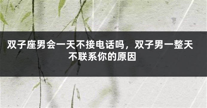 双子座男会一天不接电话吗，双子男一整天不联系你的原因