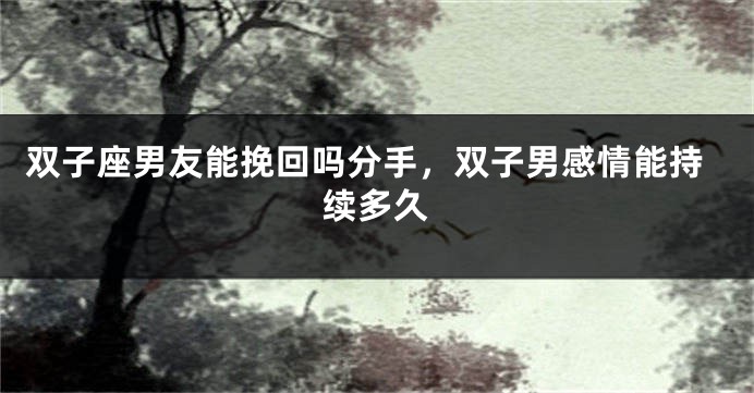 双子座男友能挽回吗分手，双子男感情能持续多久