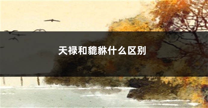 天禄和貔貅什么区别