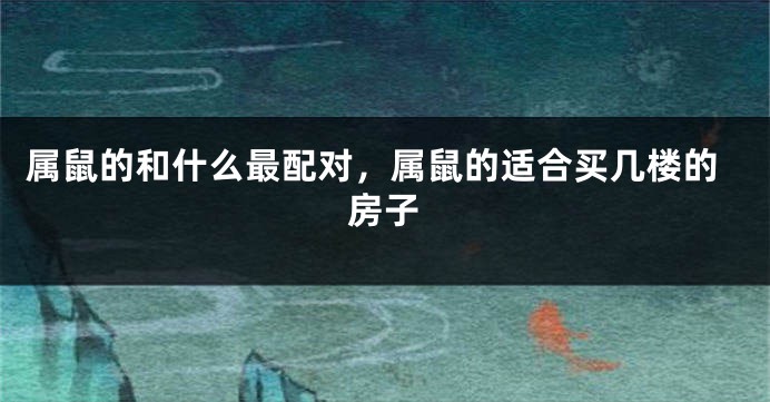 属鼠的和什么最配对,属鼠的适合买几楼的房子