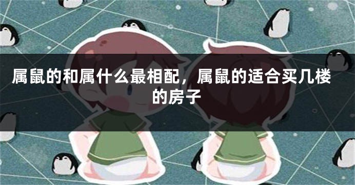属鼠的和属什么最相配，属鼠的适合买几楼的房子