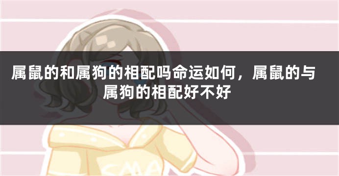 属鼠的和属狗的相配吗命运如何，属鼠的与属狗的相配好不好