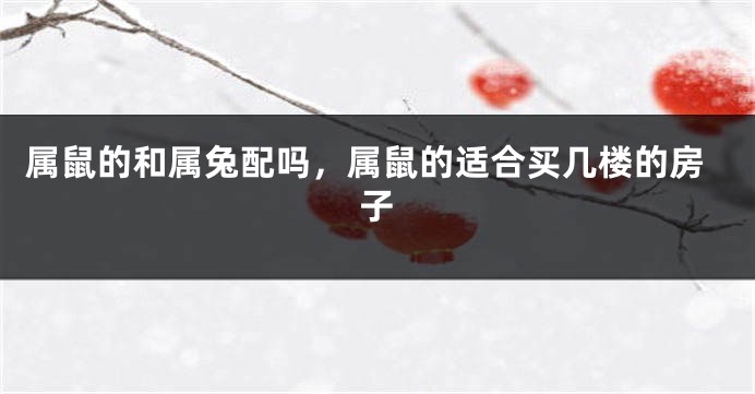 属鼠的和属兔配吗，属鼠的适合买几楼的房子