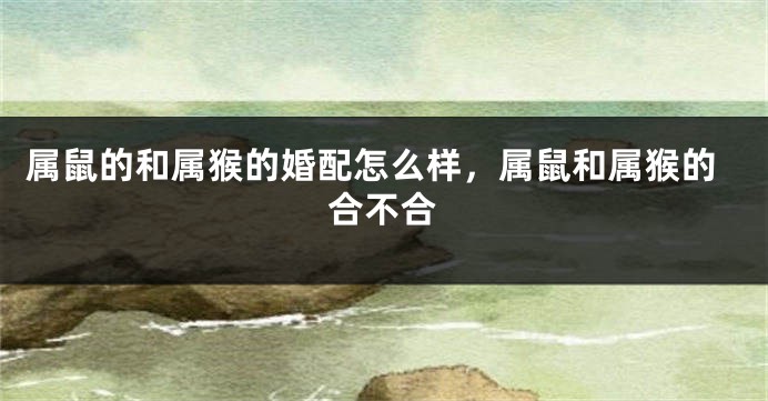 属鼠的和属猴的婚配怎么样，属鼠和属猴的合不合