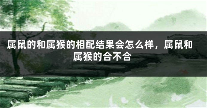属鼠的和属猴的相配结果会怎么样，属鼠和属猴的合不合
