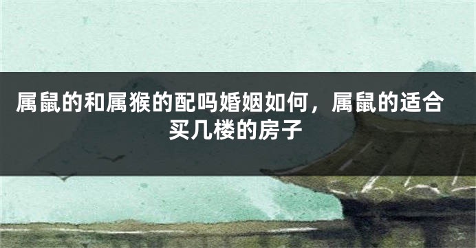 属鼠的和属猴的配吗婚姻如何,属鼠的适合买几楼的房子