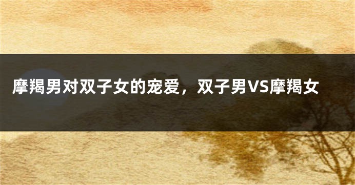 摩羯男对双子女的宠爱，双子男VS摩羯女