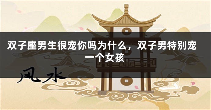 双子座男生很宠你吗为什么，双子男特别宠一个女孩