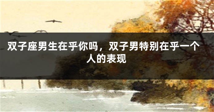双子座男生在乎你吗，双子男特别在乎一个人的表现