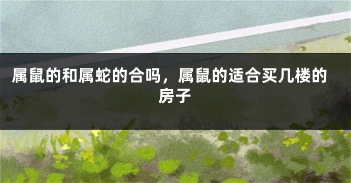 属鼠的和属蛇的合吗,属鼠的适合买几楼的房子