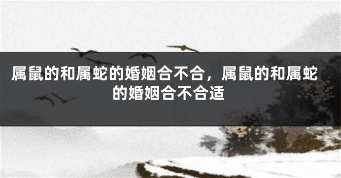属鼠的和属蛇的婚姻合不合，属鼠的和属蛇的婚姻合不合适