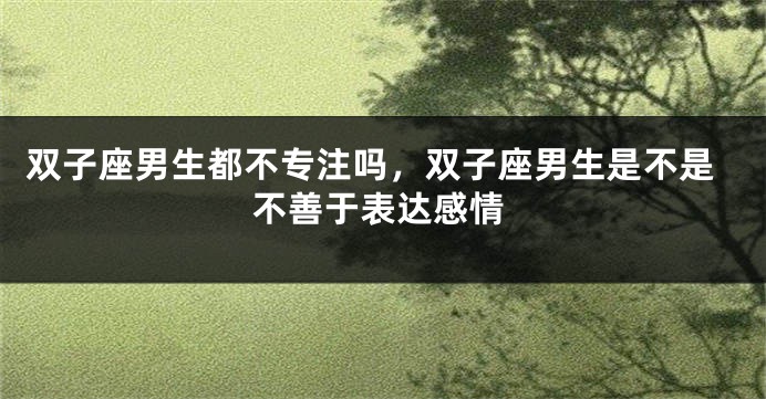 双子座男生都不专注吗，双子座男生是不是不善于表达感情
