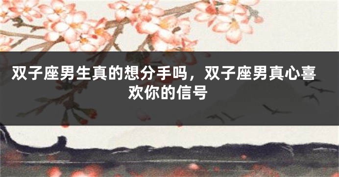 双子座男生真的想分手吗，双子座男真心喜欢你的信号