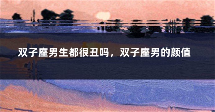 双子座男生都很丑吗，双子座男的颜值