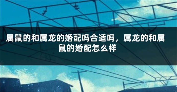 属鼠的和属龙的婚配吗合适吗，属龙的和属鼠的婚配怎么样