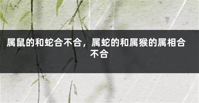 属鼠的和蛇合不合，属蛇的和属猴的属相合不合