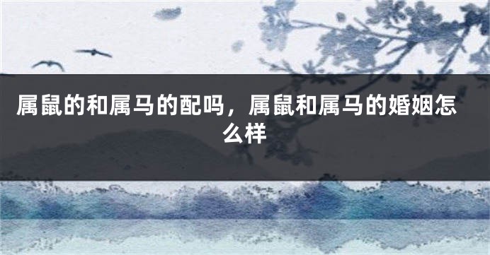 属鼠的和属马的配吗，属鼠和属马的婚姻怎么样