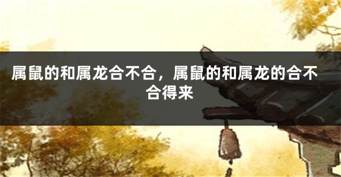 属鼠的和属龙合不合,属鼠的和属龙的合不合得来