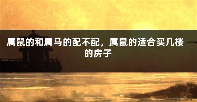 属鼠的和属马的配不配,属鼠的适合买几楼的房子