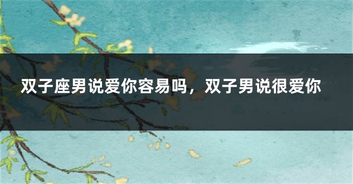 双子座男说爱你容易吗，双子男说很爱你