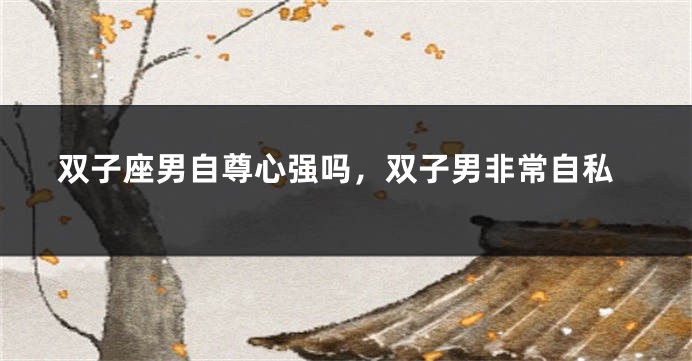 双子座男自尊心强吗，双子男非常自私