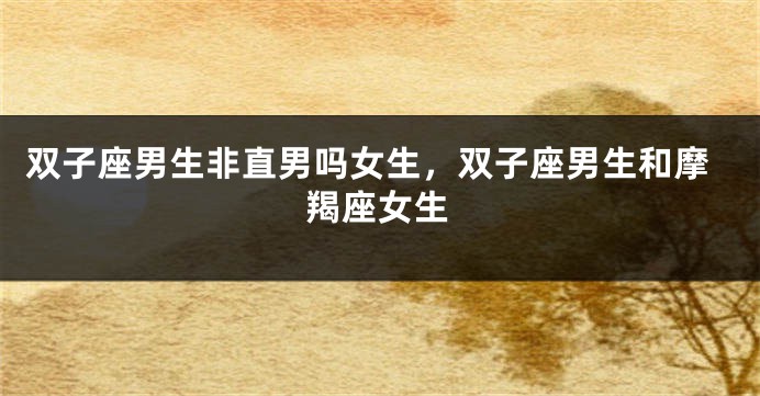 双子座男生非直男吗女生,双子座男生和摩羯座女生