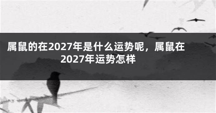 属鼠的在2027年是什么运势呢，属鼠在2027年运势怎样