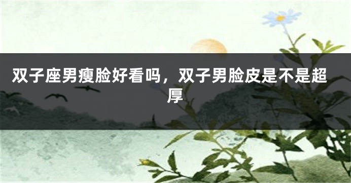 双子座男瘦脸好看吗，双子男脸皮是不是超厚