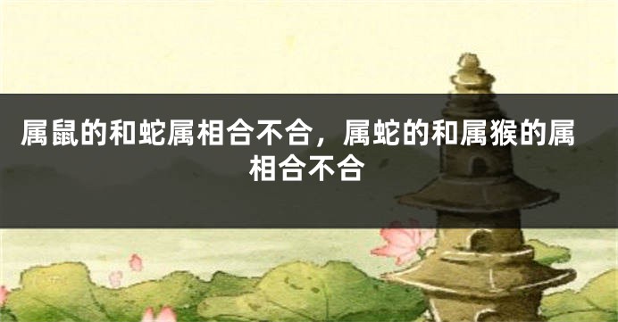 属鼠的和蛇属相合不合，属蛇的和属猴的属相合不合