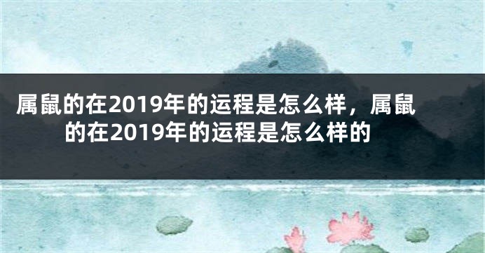 属鼠的在2019年的运程是怎么样，属鼠的在2019年的运程是怎么样的
