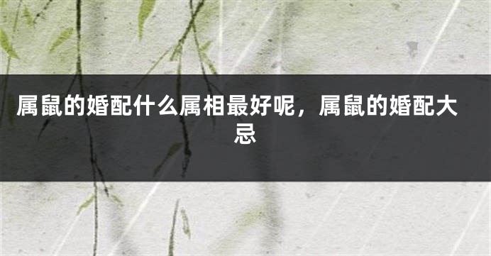 属鼠的婚配什么属相最好呢，属鼠的婚配大忌