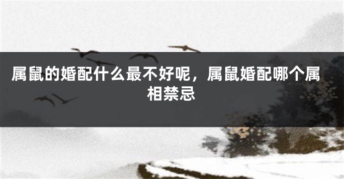 属鼠的婚配什么最不好呢，属鼠婚配哪个属相禁忌