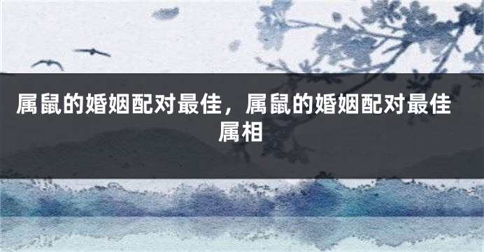 属鼠的婚姻配对最佳，属鼠的婚姻配对最佳属相