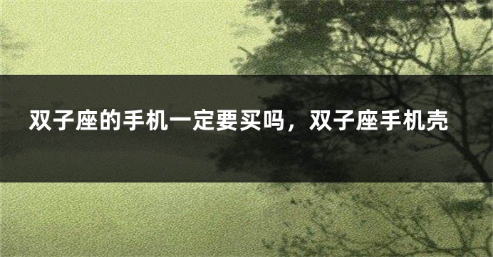 双子座的手机一定要买吗，双子座手机壳