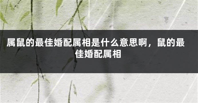 属鼠的最佳婚配属相是什么意思啊，鼠的最佳婚配属相