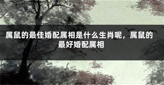属鼠的最佳婚配属相是什么生肖呢，属鼠的最好婚配属相