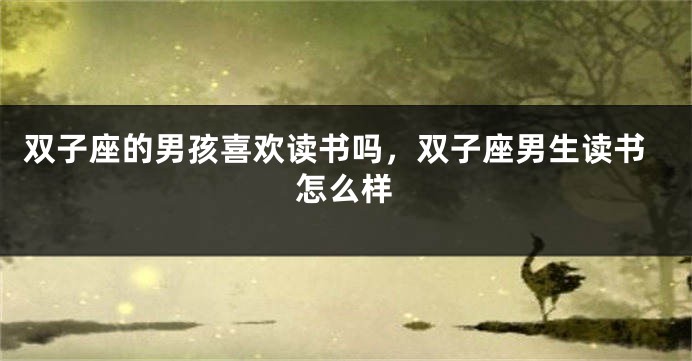 双子座的男孩喜欢读书吗，双子座男生读书怎么样