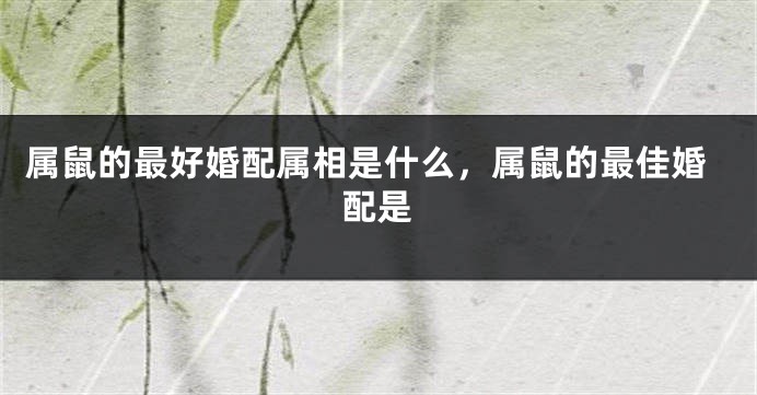属鼠的最好婚配属相是什么，属鼠的最佳婚配是