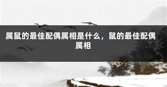 属鼠的最佳配偶属相是什么，鼠的最佳配偶属相
