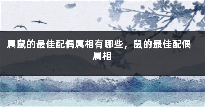 属鼠的最佳配偶属相有哪些，鼠的最佳配偶属相