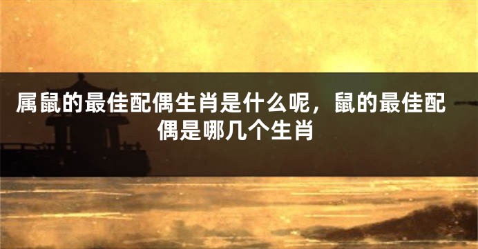属鼠的最佳配偶生肖是什么呢，鼠的最佳配偶是哪几个生肖