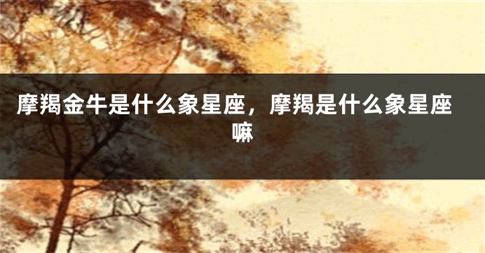 摩羯金牛是什么象星座，摩羯是什么象星座嘛