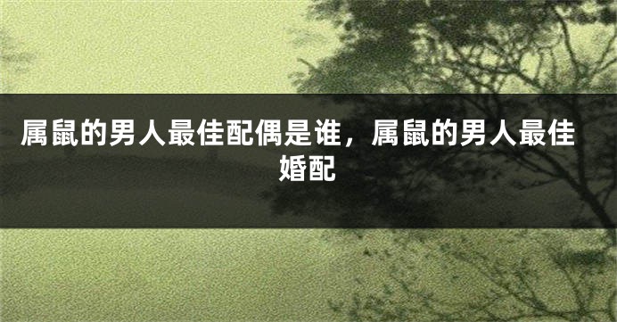 属鼠的男人最佳配偶是谁，属鼠的男人最佳婚配