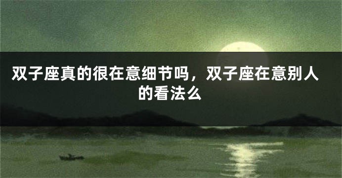 双子座真的很在意细节吗，双子座在意别人的看法么